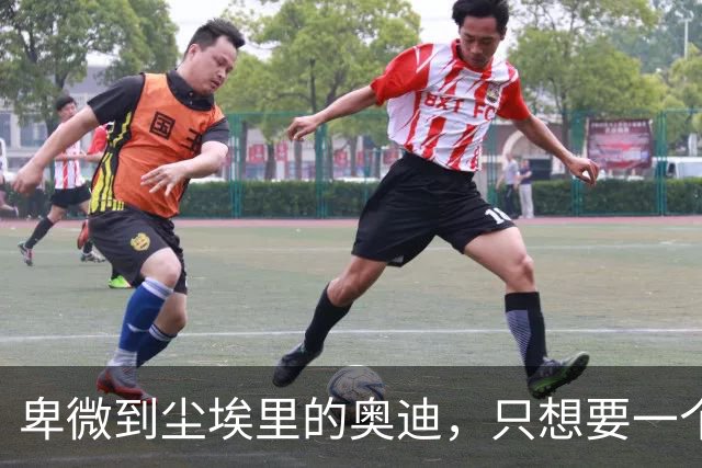 卑微到尘埃里的奥迪，只想要一个机会