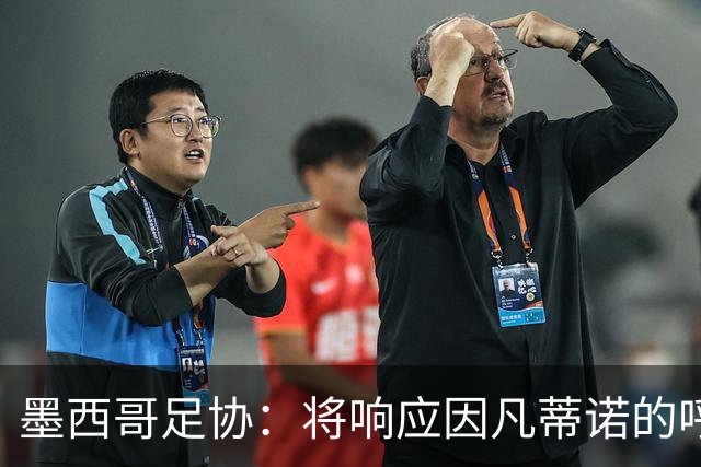 墨西哥足协：将响应因凡蒂诺的呼吁，并支持他的领导